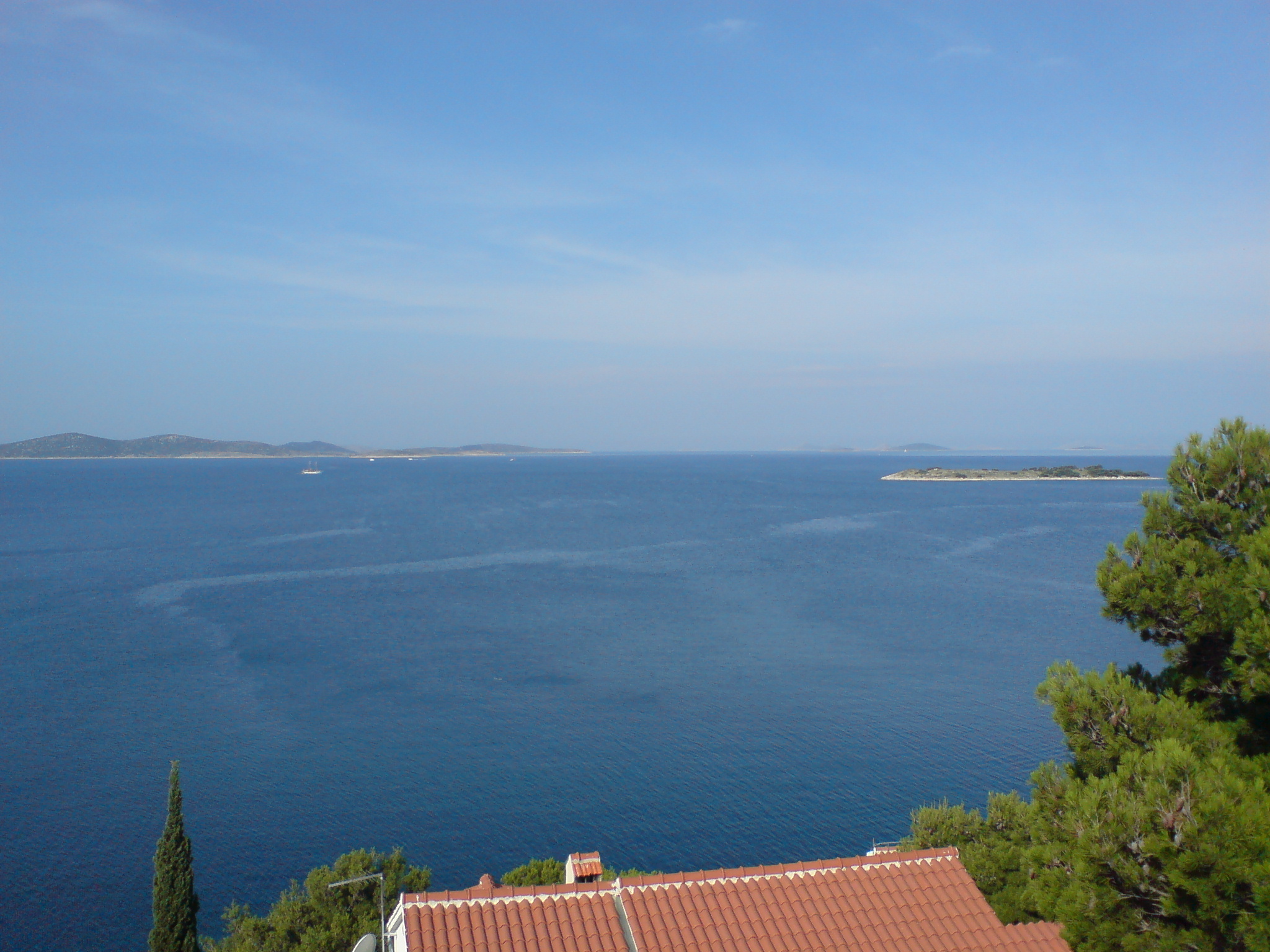 dsc00013a