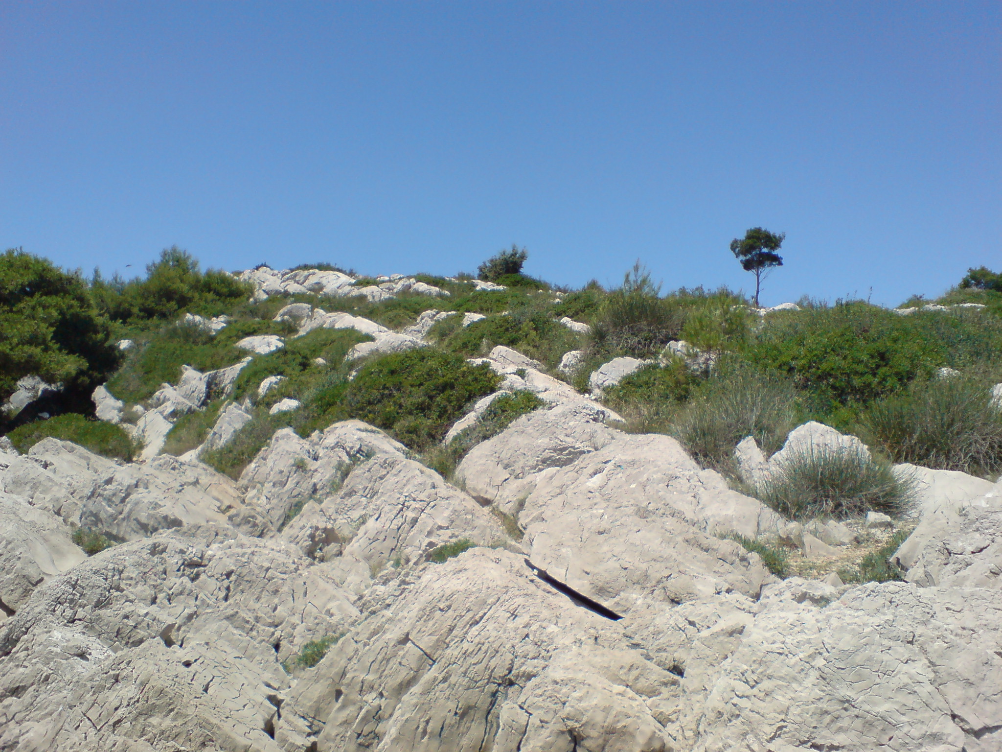 dsc00014c